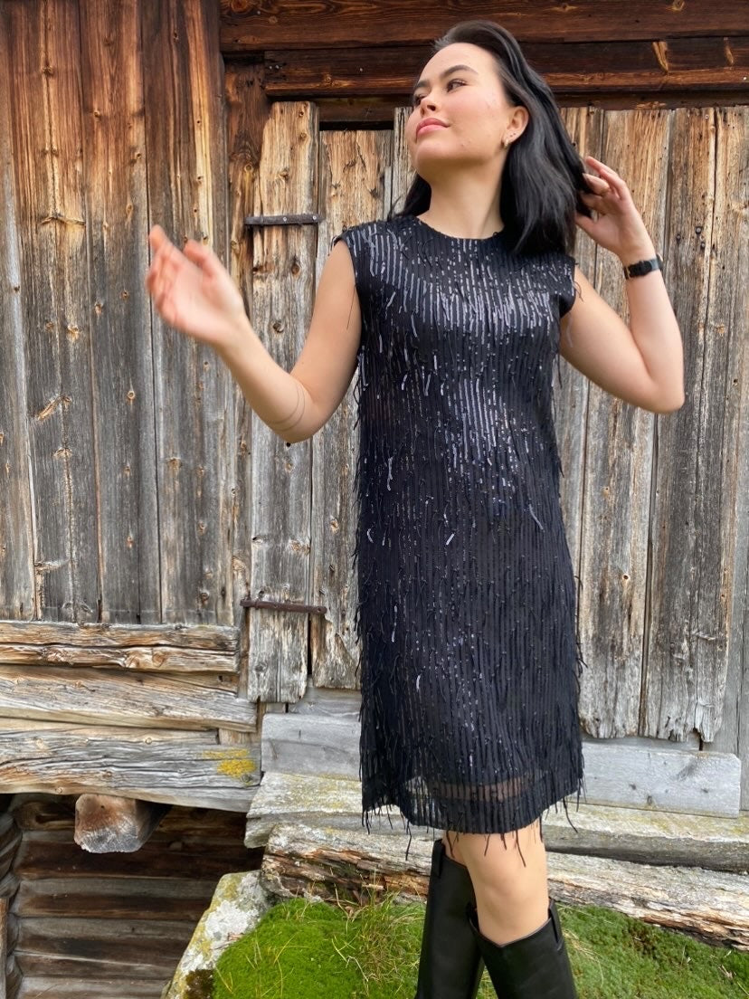 FiducIW Dress - InWear